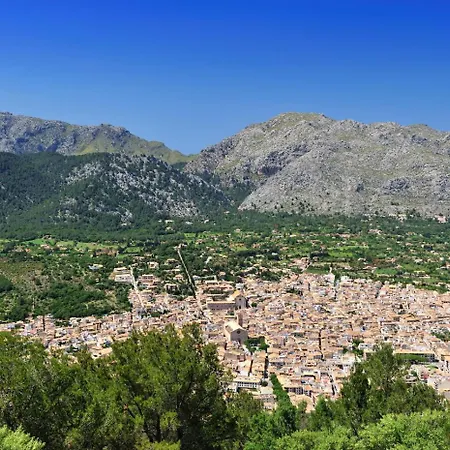 Tortet