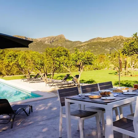 Tortet * 波连斯萨